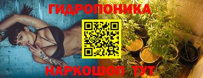 прущие крисы Мариинск