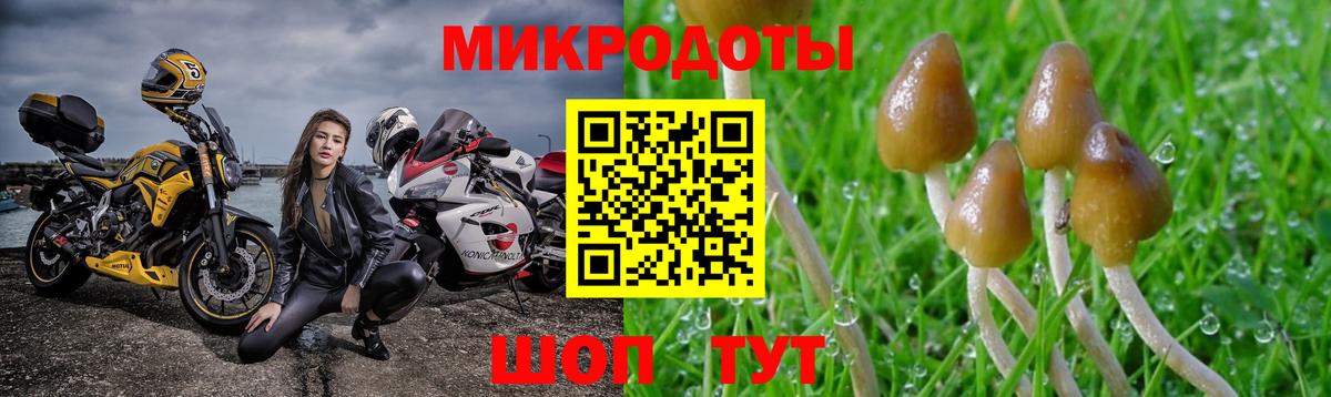 Галлюциногенные грибы мицелий  цена наркотик  Химки  Вход с VPN 