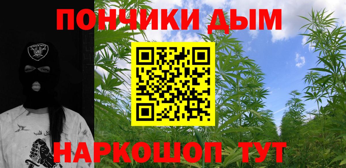 Бошки Шишки VHQ Химки